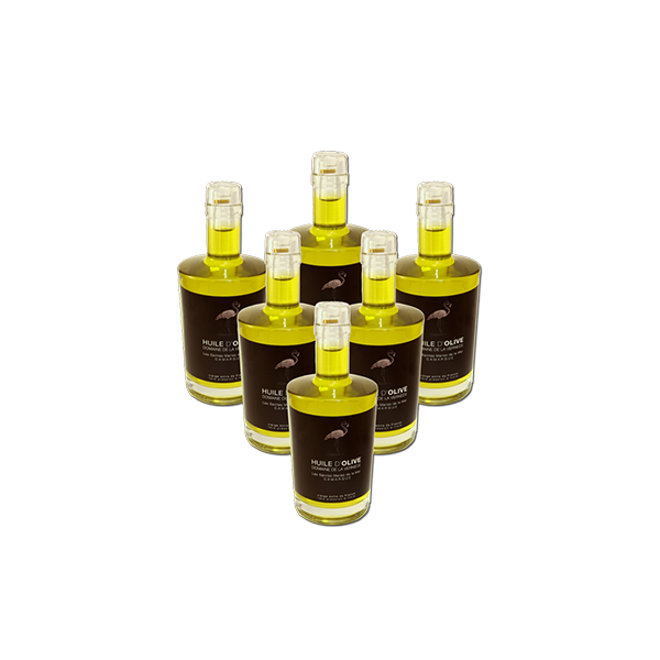 Pack 6 bouteilles 500ml