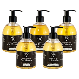 Pack de 5 Savons Liquides 250ml à poussoir