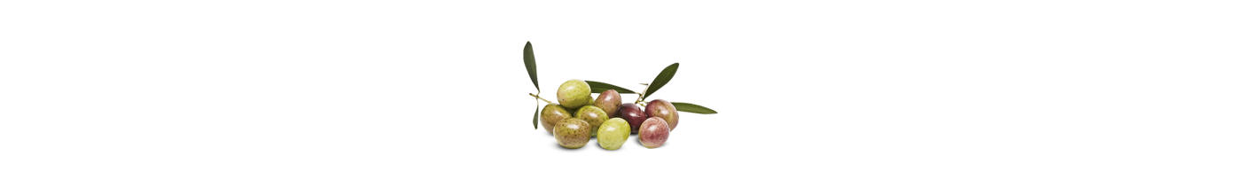 Olives de Table : La Vernède vous propose le meilleur