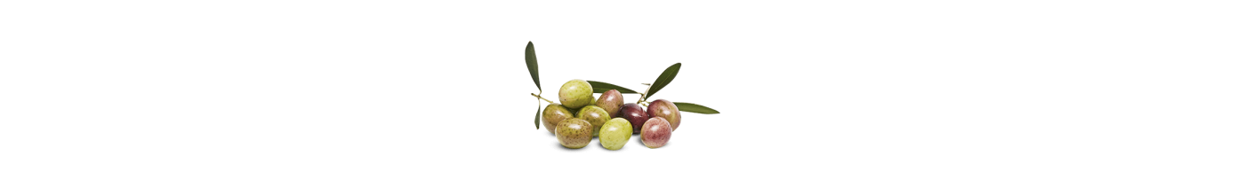 Olives