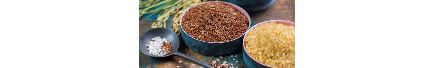 Riz bio de Camargue sélection La Vernède