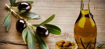 PRODUCTEUR HUILE OLIVE : LE PRODUCTEUR DE LA VERNÈDE