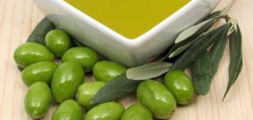 LE PRODUCTEUR HUILE OLIVE : L’INSTIGATEUR DE LA QUALITÉ DE L’HUILE