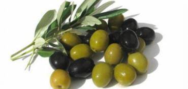 L’OLIVE VOUS MAINTIENT EN BONNE SANTÉ