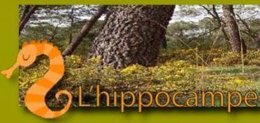 HUILE D'OLIVE ET CHAMBRES D'HÔTES DE L'HIPPOCAMPE