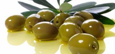 HUILE D’OLIVE PRIX : LES QUESTIONS QU’ON PEUT SE POSER