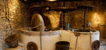 MOULIN À HUILE POUR FABRIQUER HUILE MAISON