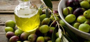 L’OLIVE LE PRÉCIEUX FRUIT DE L’OLIVIER